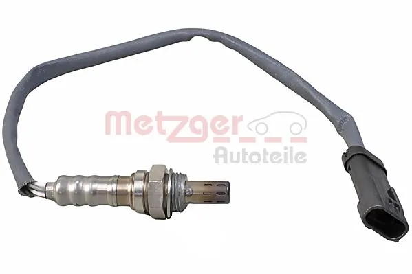 0895465 Metzger