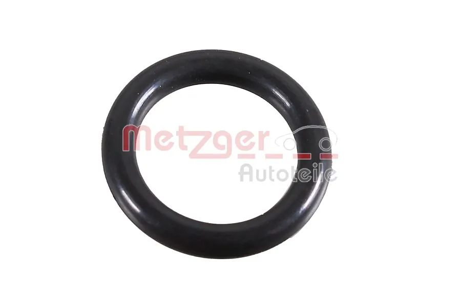 2430069 Metzger