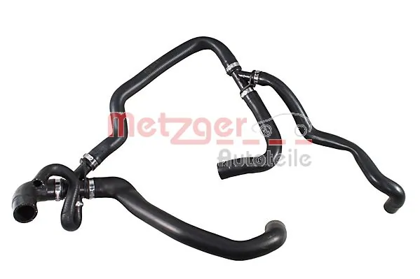 2421392 Metzger