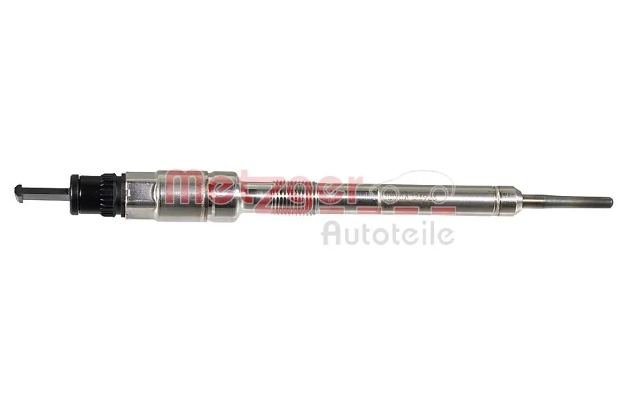 H70009 Metzger