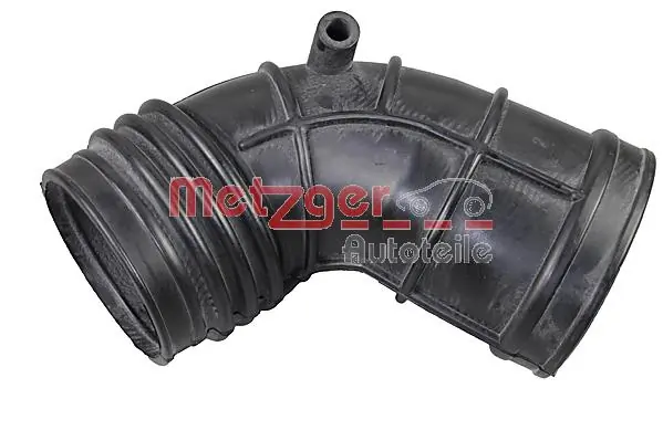 2388066 Metzger
