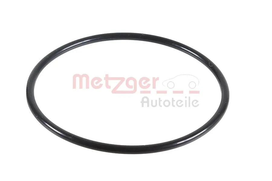 2430073 Metzger