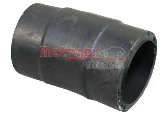 2420826 Metzger