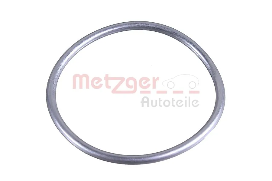 2430020 Metzger