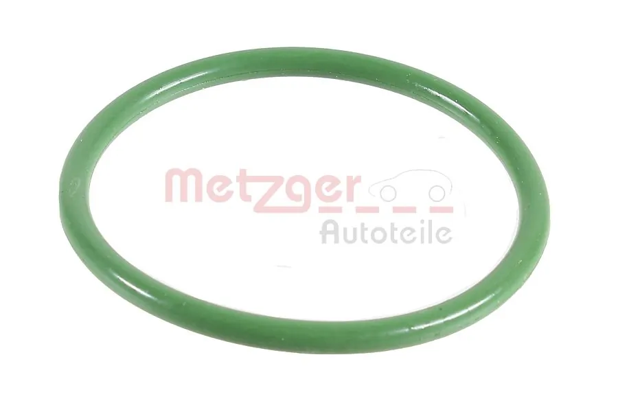2430008 Metzger
