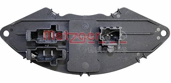 0917254 Metzger