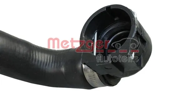 2420438 Metzger