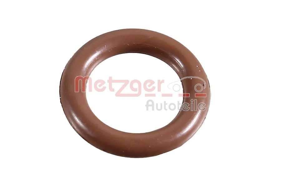 2430044 Metzger