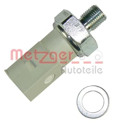 0910076 Metzger