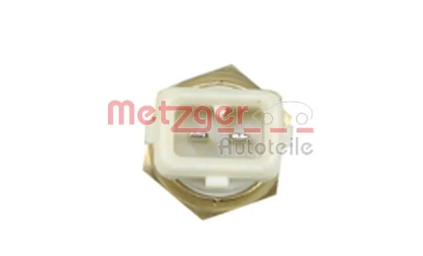 0905175 Metzger