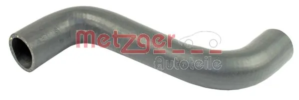 2400078 Metzger