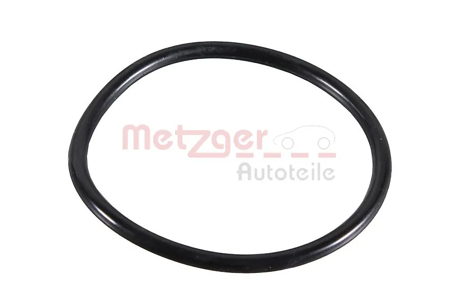 2430133 Metzger