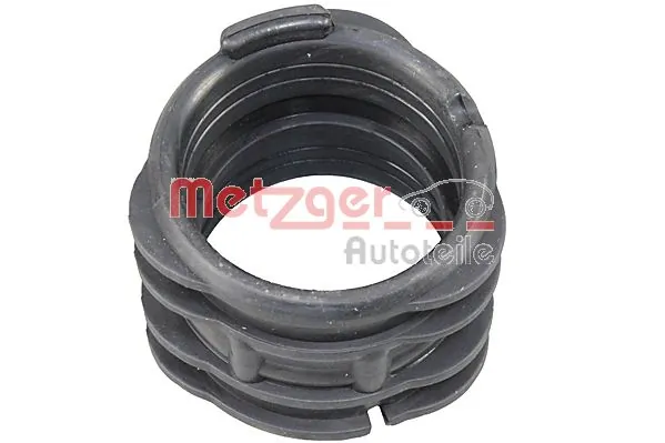 2388055 Metzger