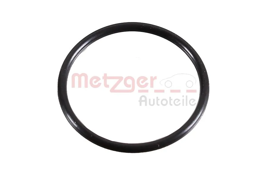 2430048 Metzger