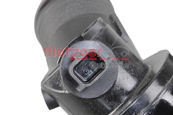110617250R Renault (RVI) Termostato de agua