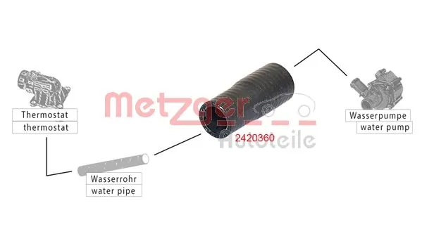 2420360 Metzger