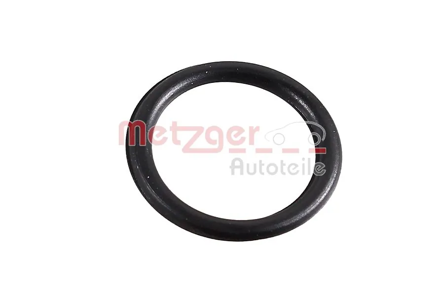 2430037 Metzger