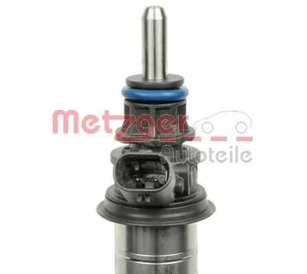 0920017 Metzger