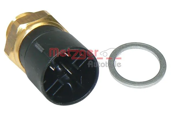 0915232 Metzger