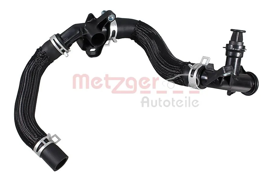 2421684 Metzger