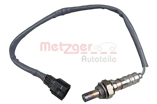 0895051 Metzger