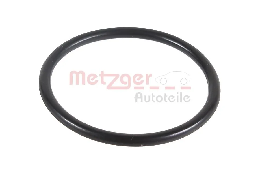 2430015 Metzger
