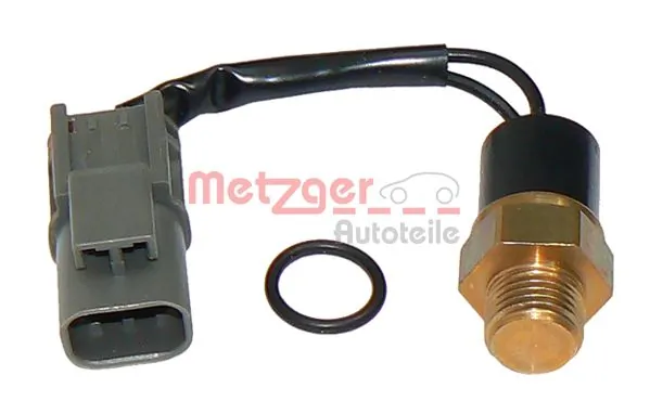0915219 Metzger