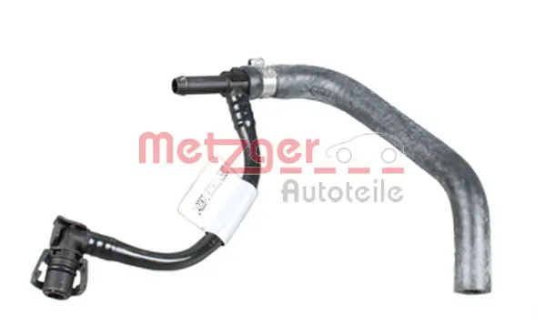 2420871 Metzger