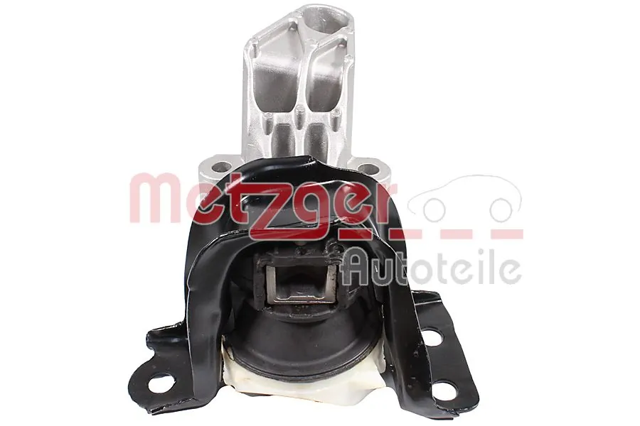 8054029 Metzger