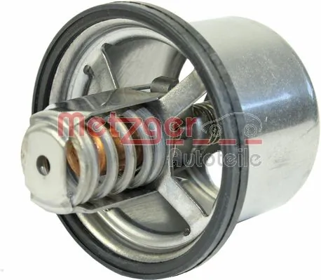 Termostato 7403839110 Renault (RVI)
