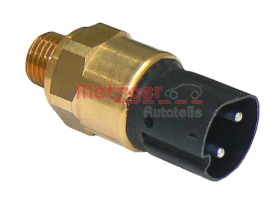 0915251 Metzger