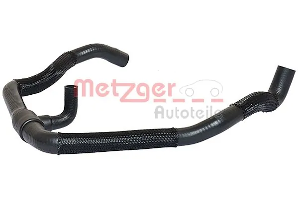 2420448 Metzger