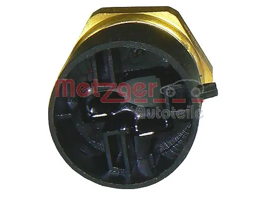 0915028 Metzger
