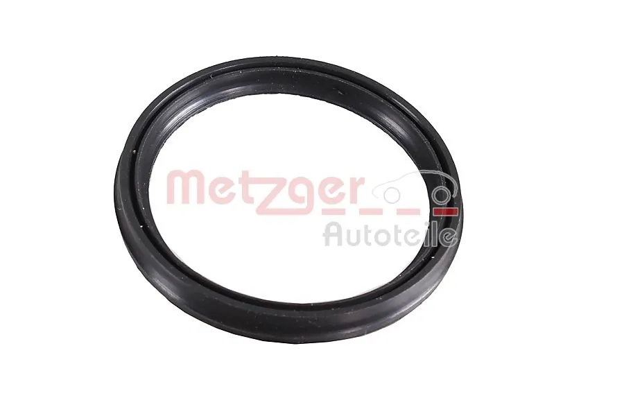2430064 Metzger
