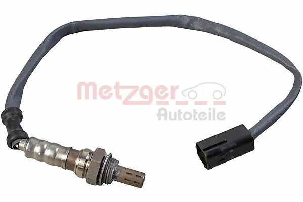 0895466 Metzger