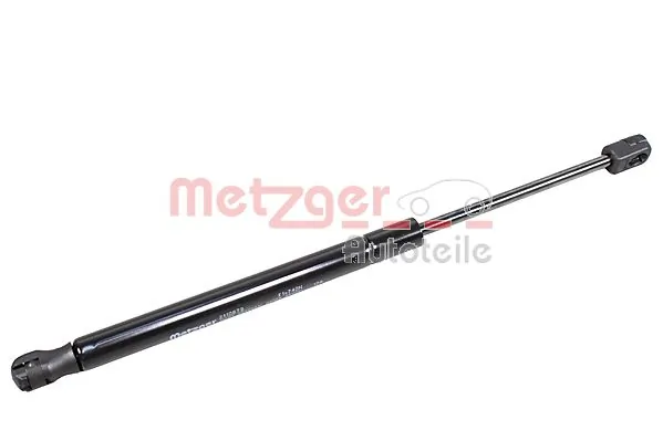 2110673 Metzger
