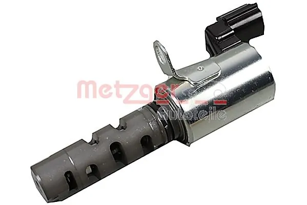 2411018 Metzger