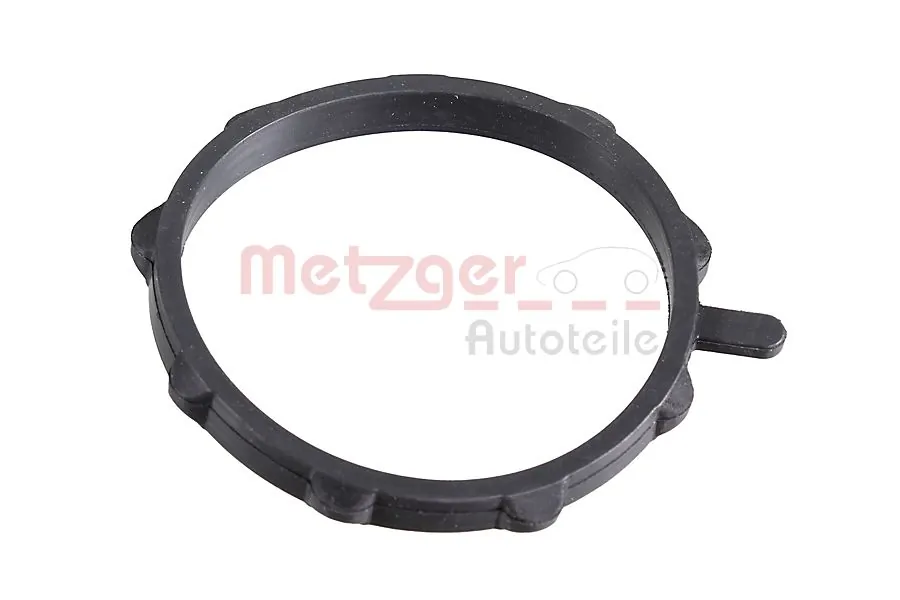 2430098 Metzger