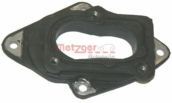 8070909 Metzger