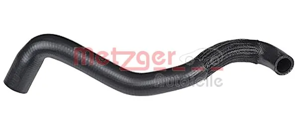 2420248 Metzger