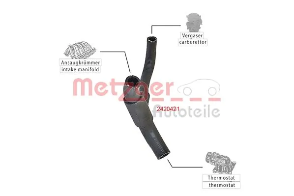 2420421 Metzger