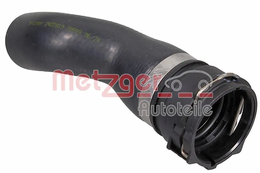 2422019 Metzger