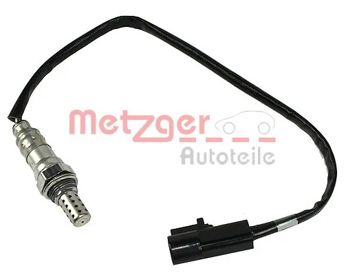 0893061 Metzger