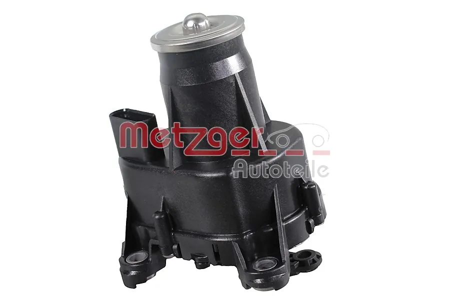 2100131 Metzger
