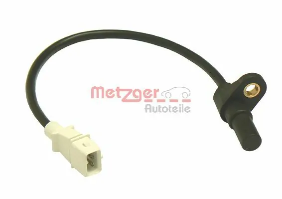 0902098 Metzger