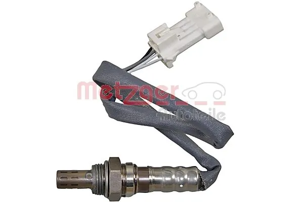 0895472 Metzger