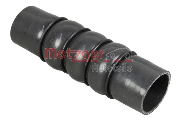 2400537 Metzger