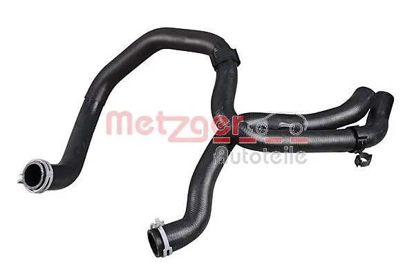 2421288 Metzger