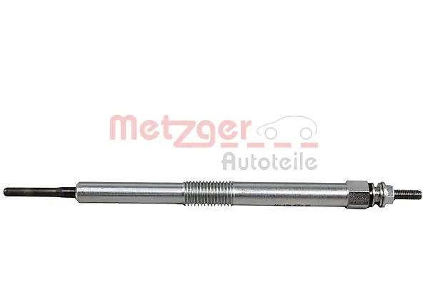 H5181 Metzger