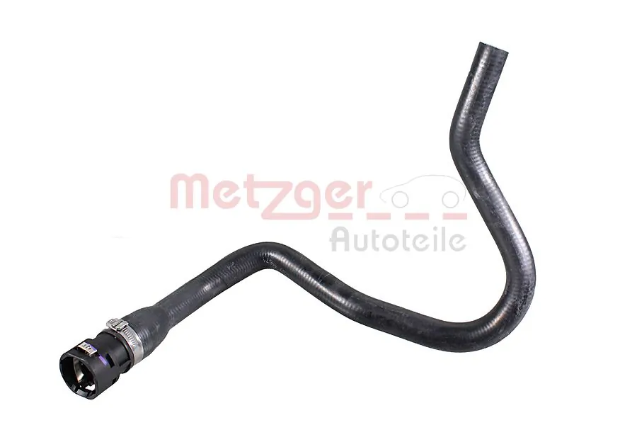 2422008 Metzger